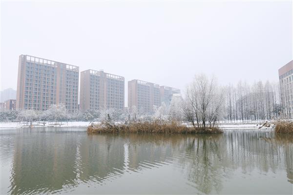 雪落新华园