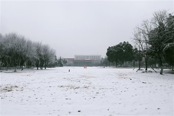 雪落新华园