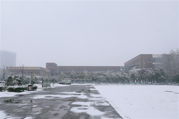 雪落新华园