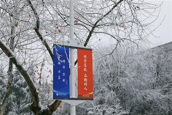 雪落新华园