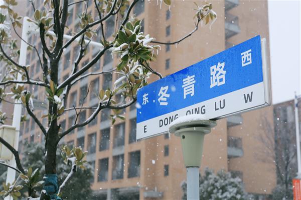 雪落新华园