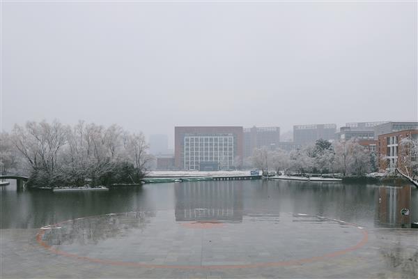 雪落新华园
