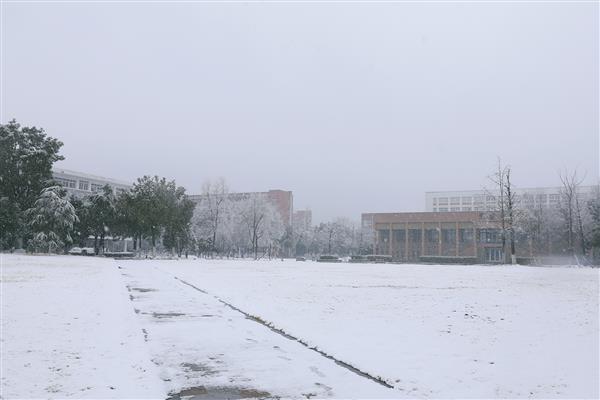 雪落新华园
