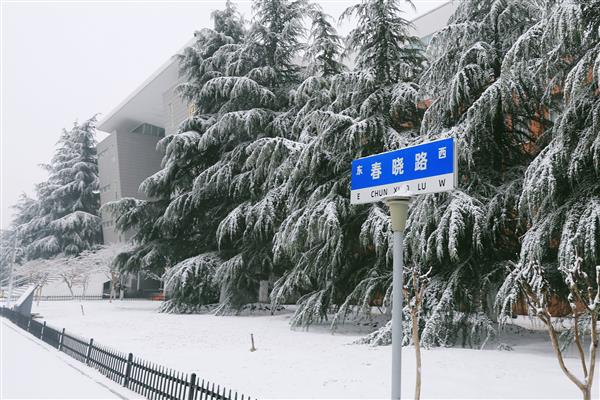 雪落新华园