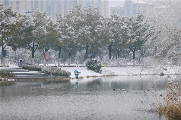 雪落新华园