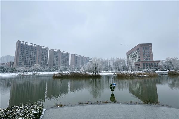 雪落新华园