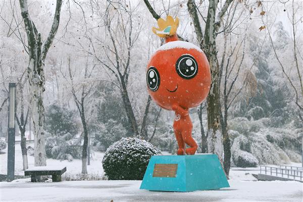 雪落新华园