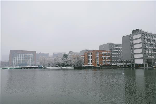 雪落新华园