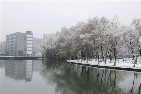 雪落新华园