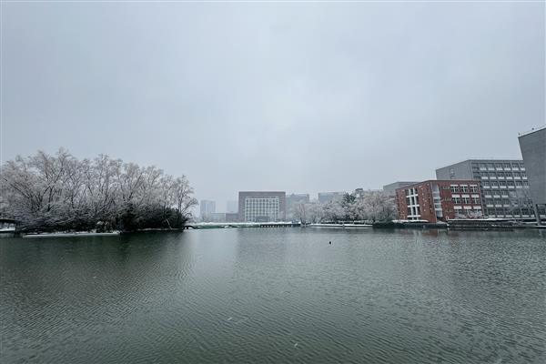 雪落新华园