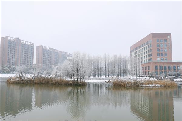 雪落新华园