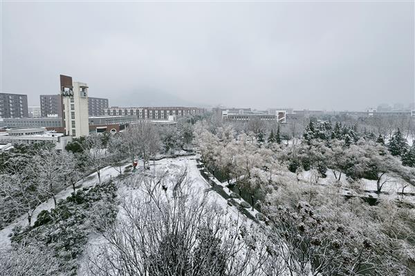 雪落新华园