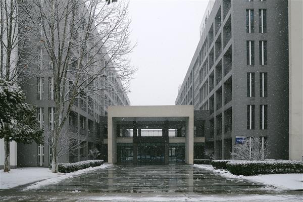 雪落新华园