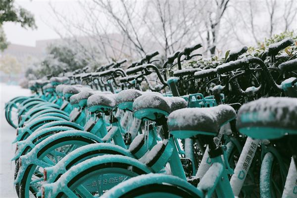 雪落新华园