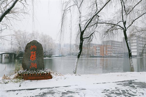 雪落新华园