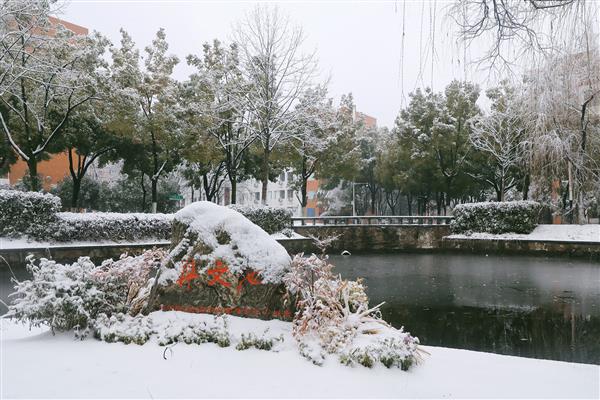 雪落新华园
