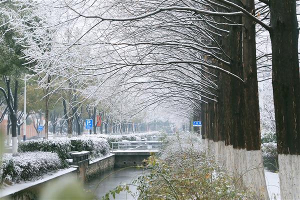 雪落新华园