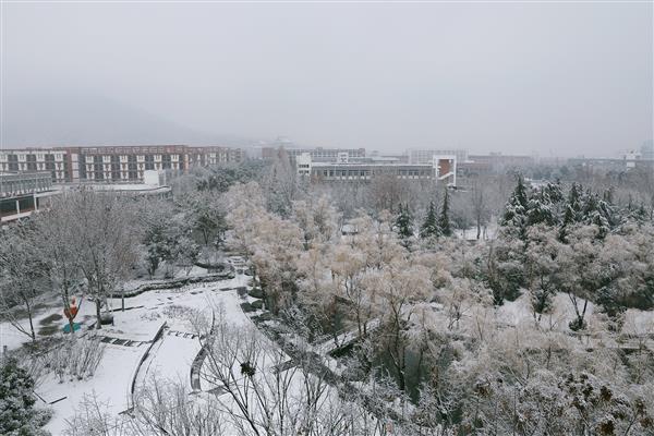 雪落新华园