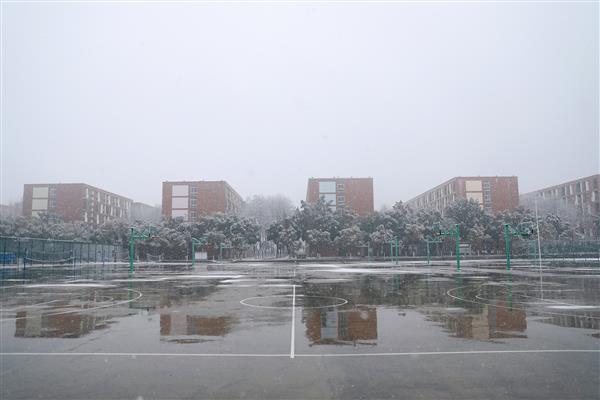 雪落新华园