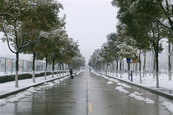 雪落新华园